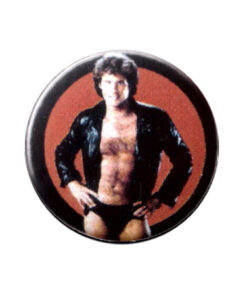 David Hasselhoff Button