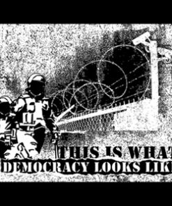 This is what democracy looks like. Border Aufnäher