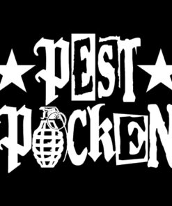 Pestpocken - 2-reihiges Logo Aufnäher