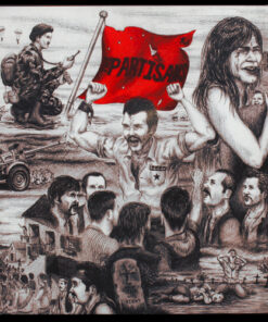 Partisans - The time was right LP