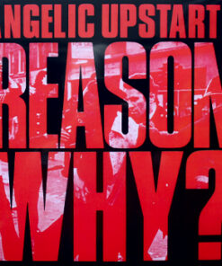 Angelic Upstarts - Reason why? LP