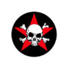 Totenkopf-Stern Button