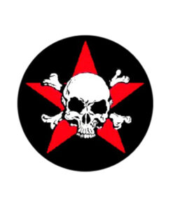 Totenkopf-Stern Button