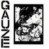 Gauze / Equalizing Distort Split-LP