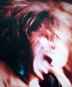 Samhain - Final descent LP