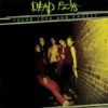 Dead Boys - Young loud and snotty LP