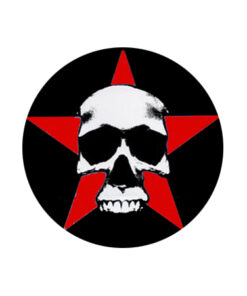 Skull 06 Star Button