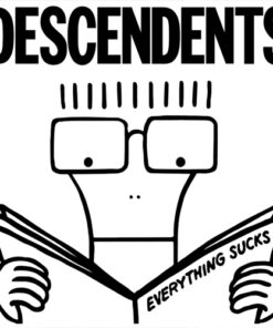 Descendents - Everything sucks LP