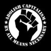 Abolish capitalism by all means necessary Aufnäher