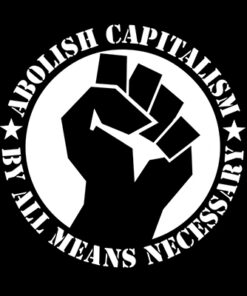 Abolish capitalism by all means necessary Aufnäher