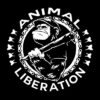 Animal Liberation - Monkey Aufnäher