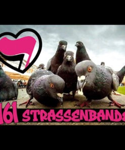 191 Strassenbande