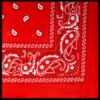 Bandana rot