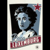 Rosa Luxemburg A1 Poster